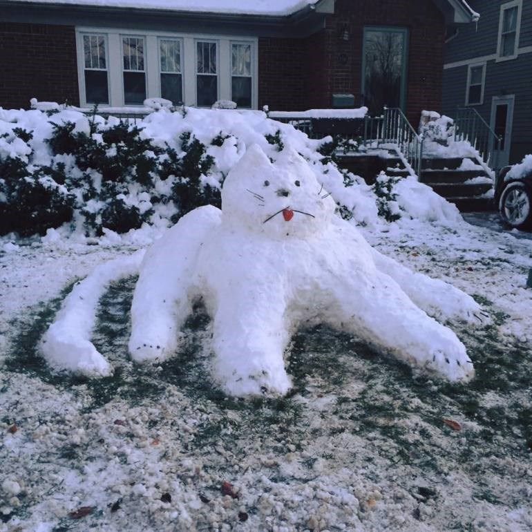 photo-of-snow-cat