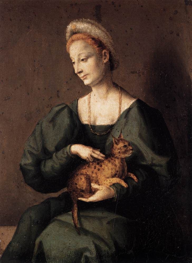Woman with a cat, Il Bacchiacca