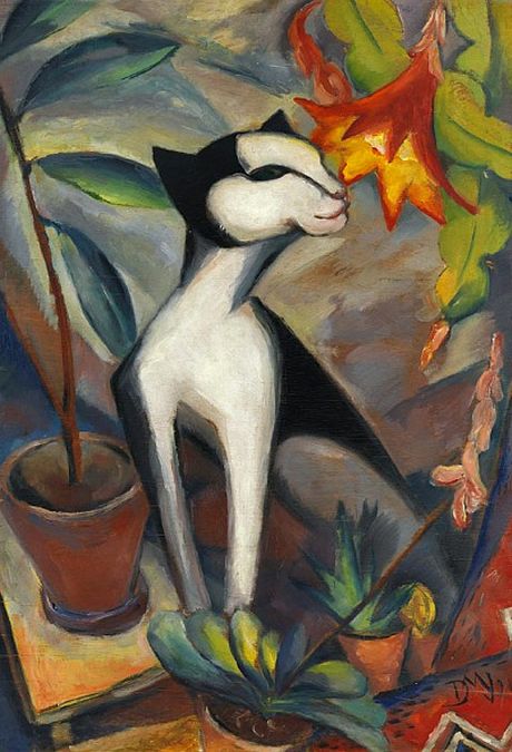 Cat with Cactus Flower', 1921 - Dorothea Maetzel-Johannsen