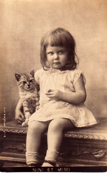 3b517759d6411a674e2ef8f167255dde