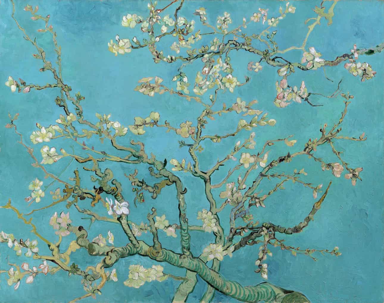 Almond Blossom, Vincent van Gogh