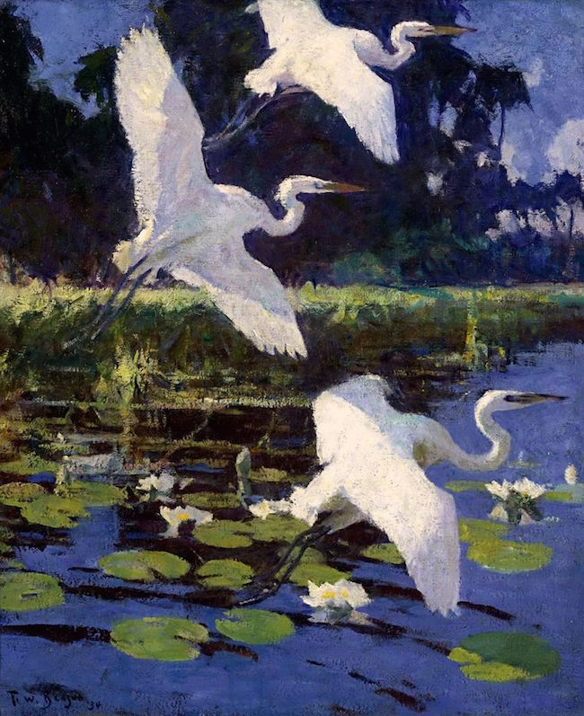 Herons and Lilies, 1862 by Frank W. Benson