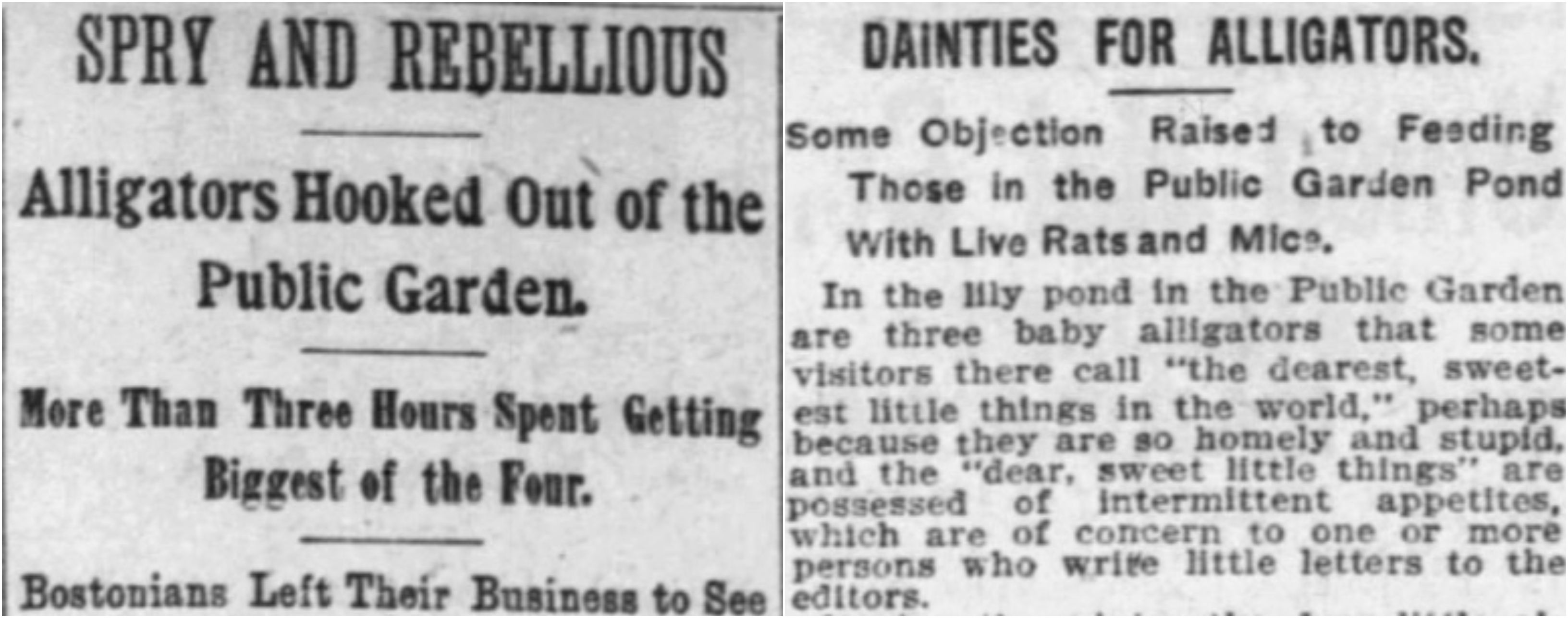 MRAETO7ECVDRVKXQDAMYDLTKXY