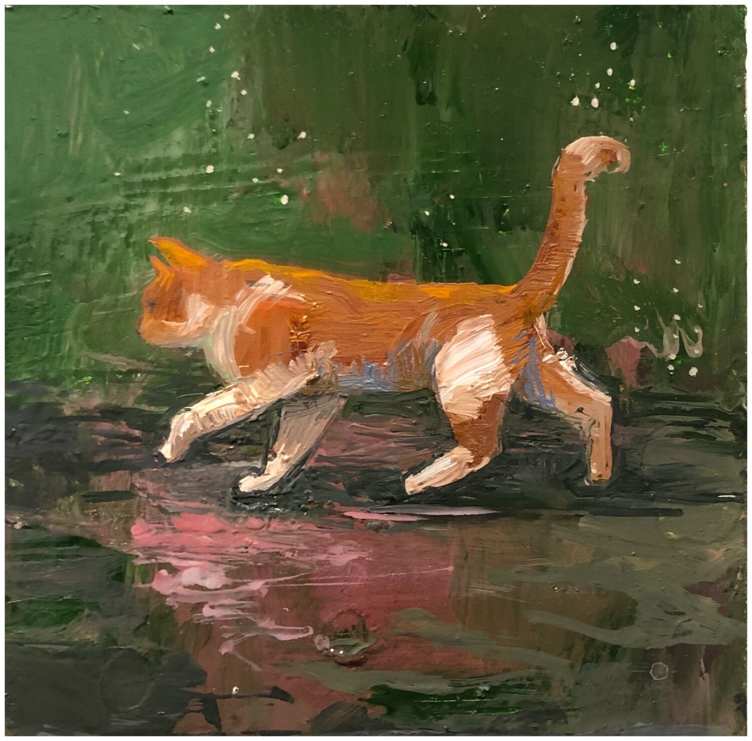Cat+in+Rain Tarra Lyons
