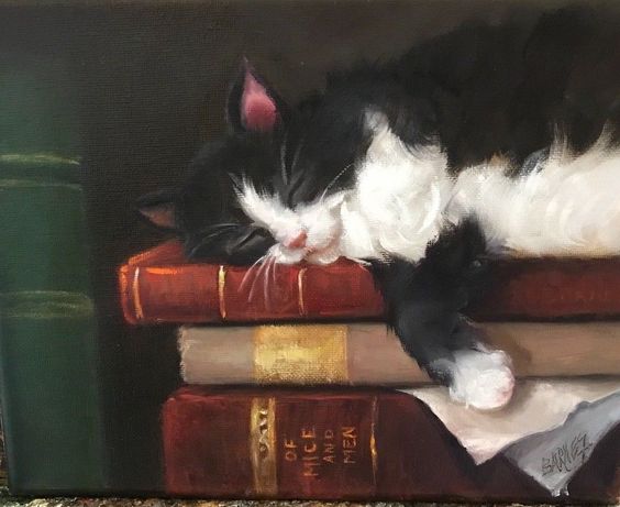 Tuxedo Cat Sleepin]g on Books, by Dawn Barnes