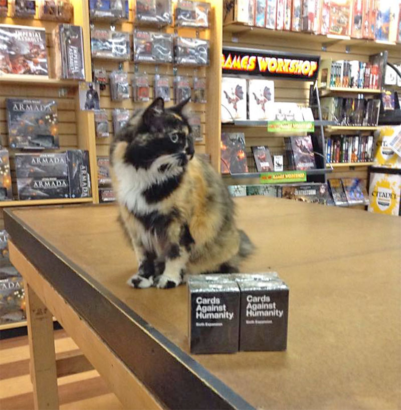 Dragon's Lair Comics and Fantasy, Austin, TX