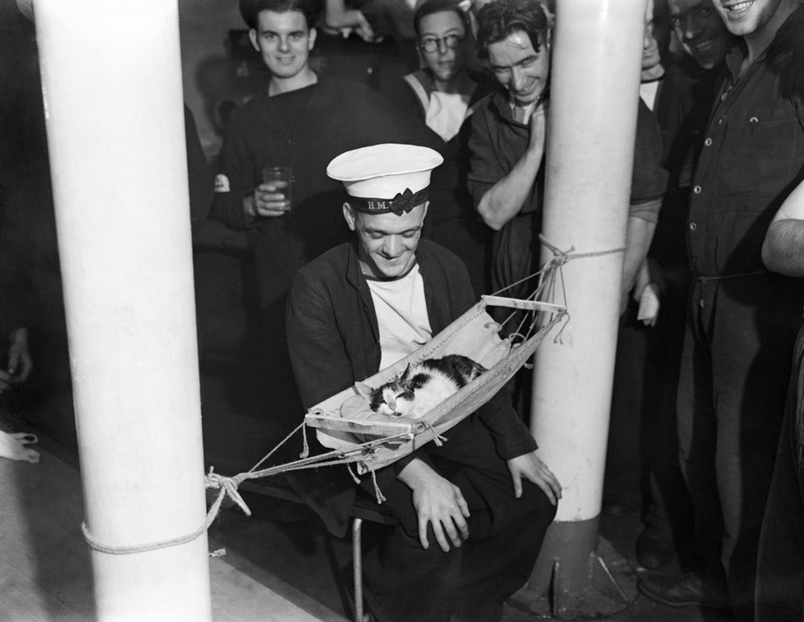 sailors of the HMS Hermione in 1941 surrounding their sleeping cat, Convoy.
