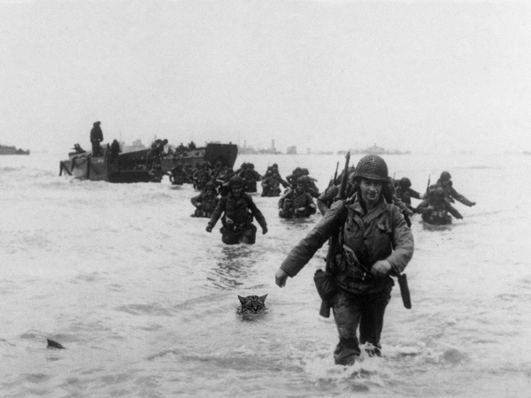 The CATS program originated during World War II and was instrumental in the invasion of Normandy.