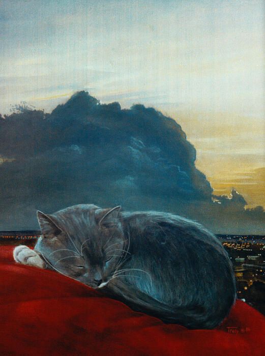 Storm has passed, Robert Tracy