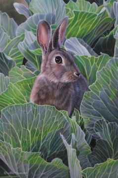 3aee5e36fefab63d7c158ba35326c0b5