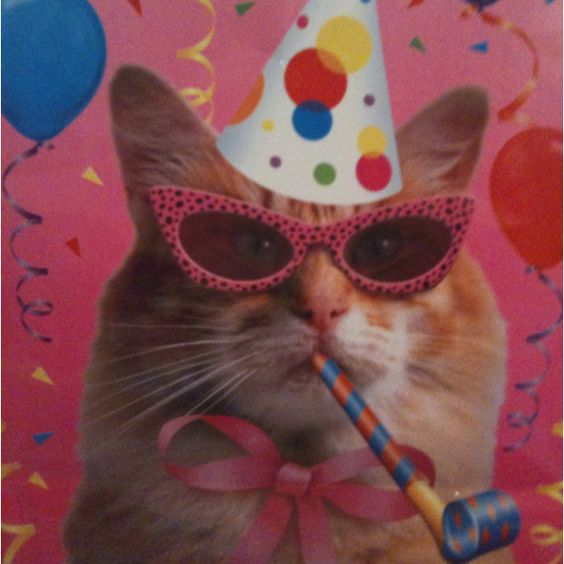 45a6fca2f7bc9287daf855bc1bf66632