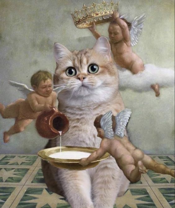 By Emily Olson