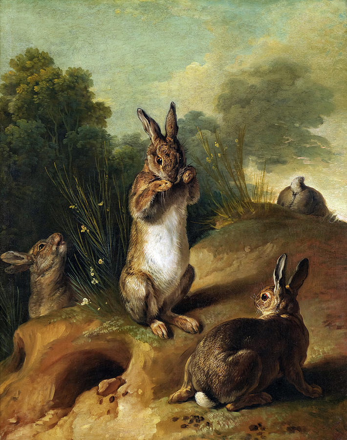 Rabbits, by Francois Desportes