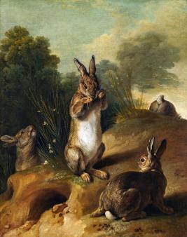 Rabbits, by Francois Desportes