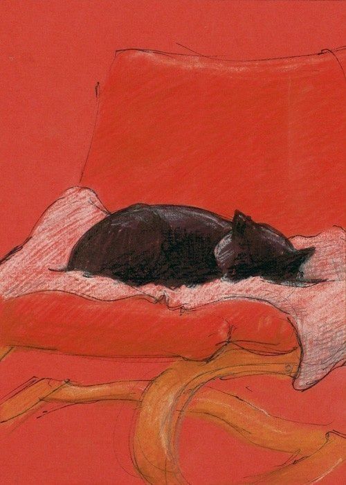 Black cat sleeping by Harry Boardman