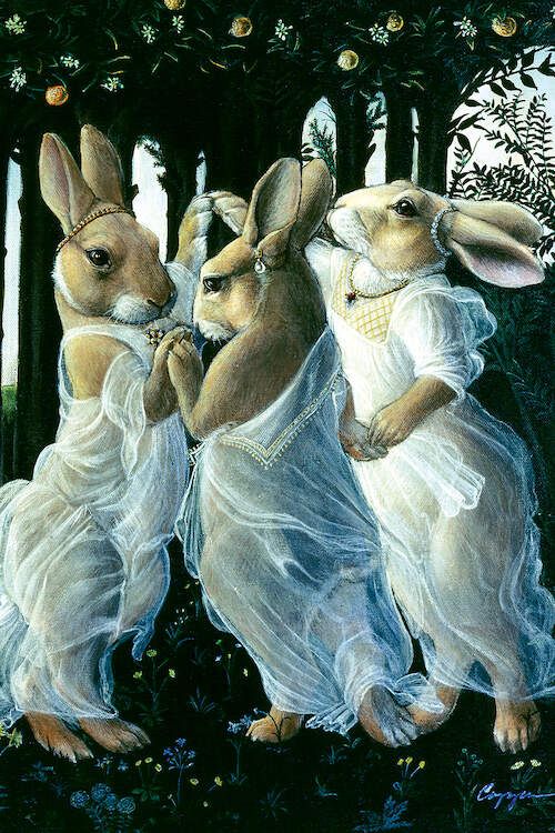 Bunny Graces, by Belinda Cooper