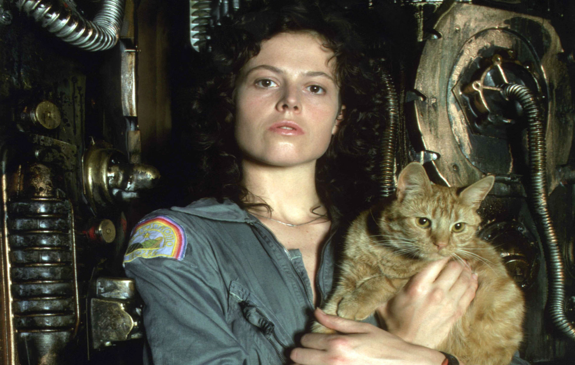 Cat from Alien