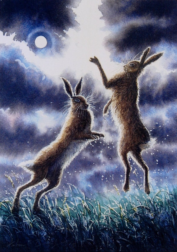 Full Moon Hare, by Andrew Bailey