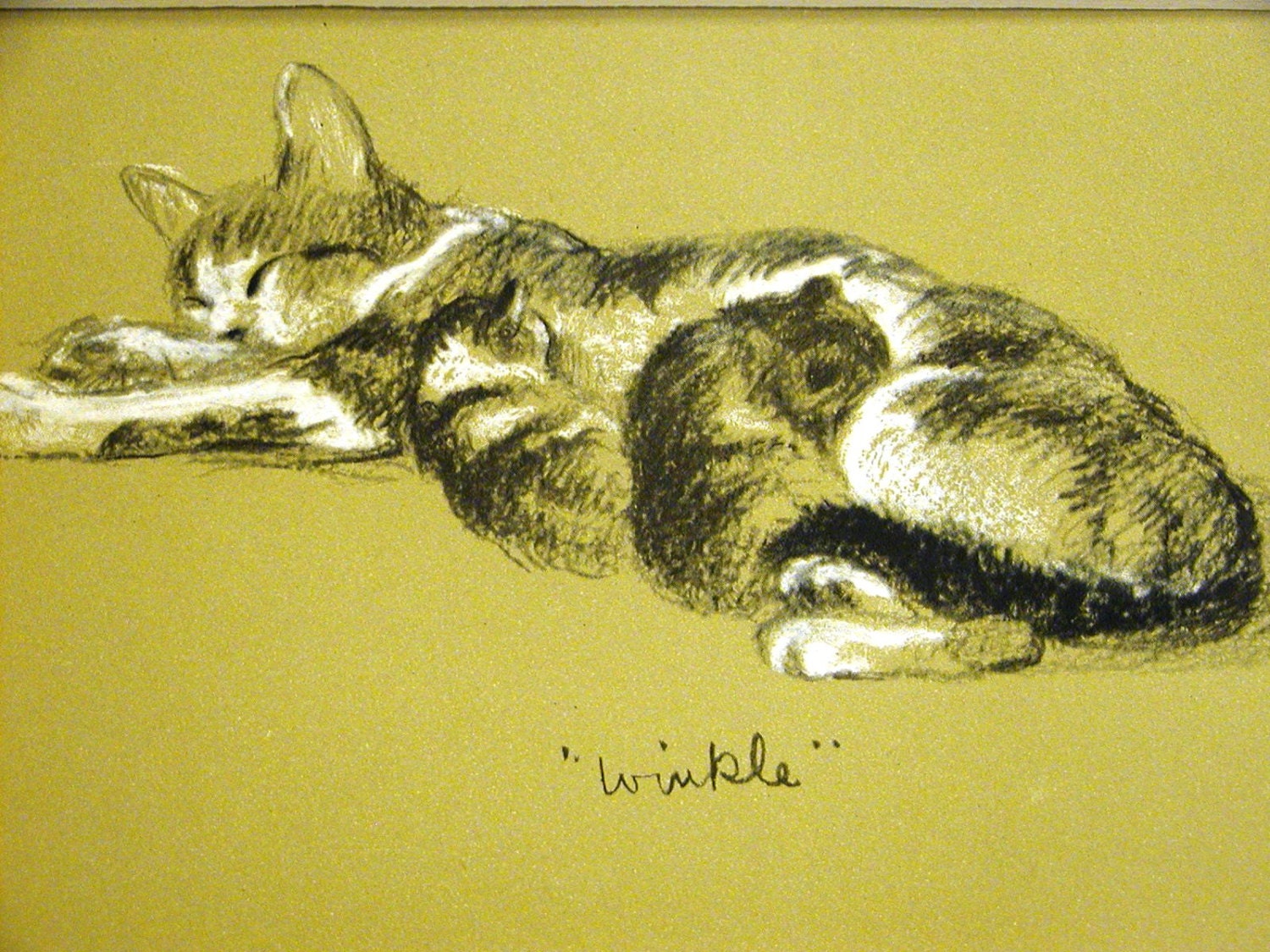 Mother cat wiht her two kittens,, Lucy Dawson print, 1946
