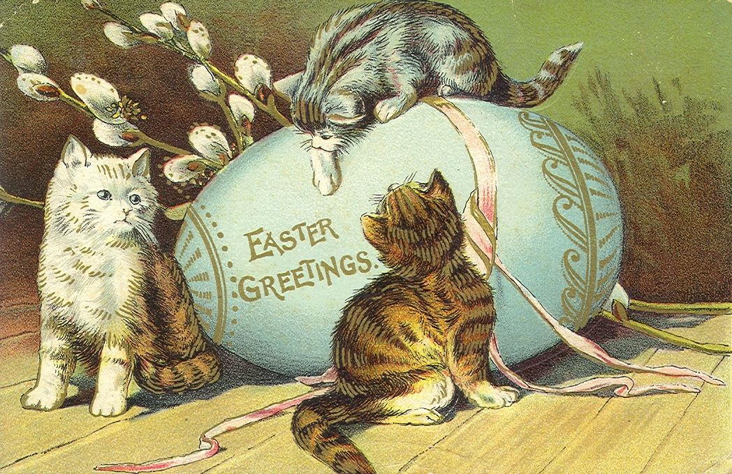 53ae46d9428b919e891c8c0c0d65d246