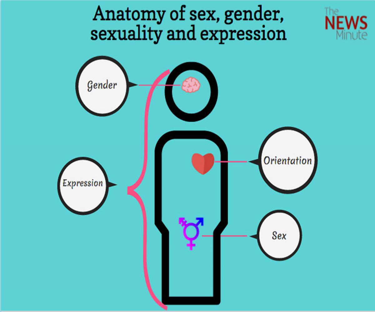 Anatomy-of-sex-etc-1