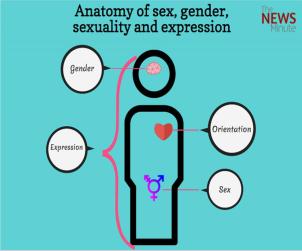 Anatomy-of-sex-etc-1