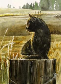 Kitty on the Fence, photo by Andy Sewell