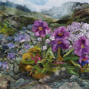 landscape Boulders-with-Meconopsis-On Tuesday in Germany—at a meeting of the “Ukraine Defense Consultative Group” (a gathering of the countries from around the world that have pledged to support Ukraine’s war effort)—Secretary Austin said it was the U.S. belief that Ukraine can win the war with Russia. Austin’s spokesperson, John Kirby, stated: “We don’t want a Russia that’s capable of exerting that kind of malign influence in Europe or anywhere in the world.”