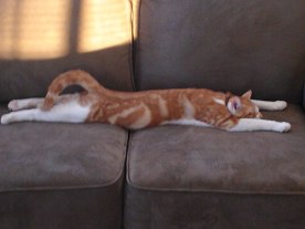 6a00d8341c630a53ef0133f4f00414970b-600wi