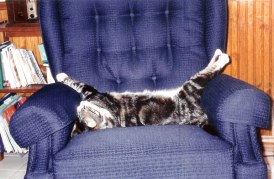 6a00d8341c630a53ef0133f4fe6739970b-600wi