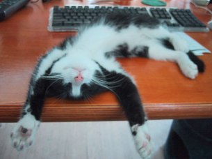 6a00d8341c630a53ef0133f4feaa48970b-600wi