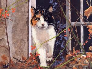 Calico-Curiousity-Persis-Clayton-Weirs