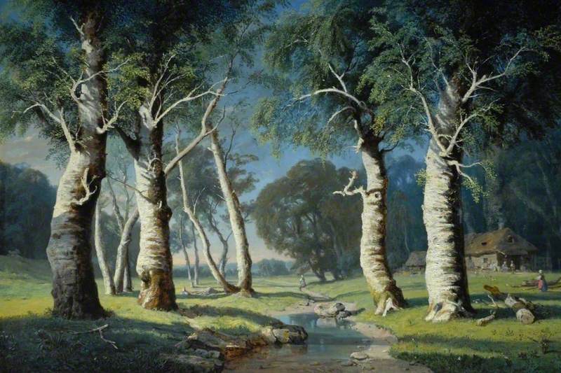 Bowes, Josephine, 1825-1874; Study of Birch Trees
