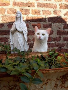 00146d940a6a2c96813fbb5480c6d59c