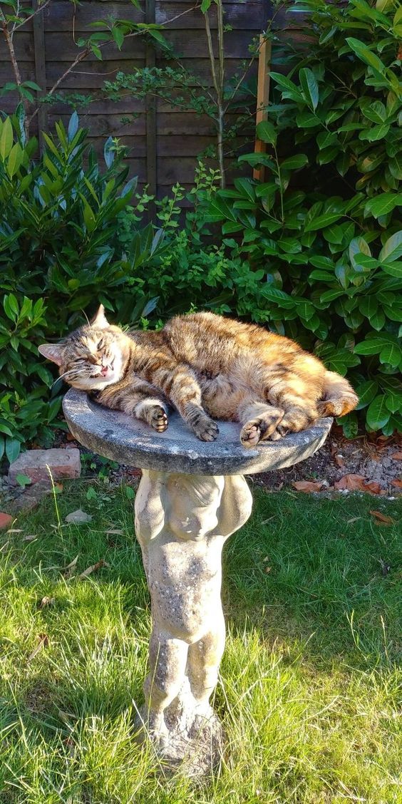 117e788ba6a99375d6d826a17311ce9a