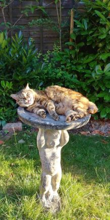 117e788ba6a99375d6d826a17311ce9a