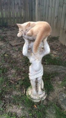 333d896c0c3719dee962e151aa76649b