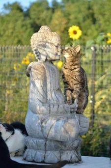 50362e7c46f16929020bba5999c56ce4