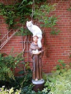 da268b94c8995a615cdcda7b987a185c