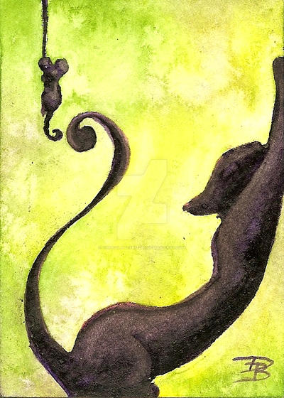 the_black_cat__stretch_by_chocolatefrizz89_deviant art