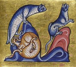 cce5dffa09cd07e1392867bc4fe34d0e