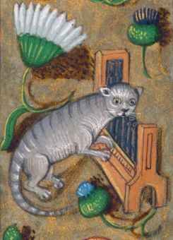 “Organ cat, prayer book, Bruges or Ghent c. 1480-1490 (Baltimore, Walters Art Museum
