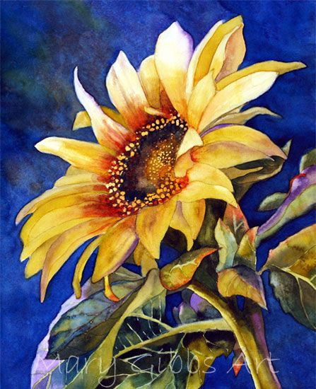 Sunshine,, by Mary Gibbs