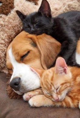 bc848f30f3057dd0b612f28a08cce1c2