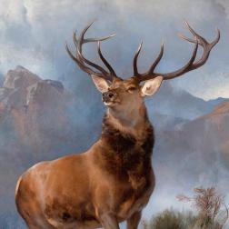 Edward Landseer's Monarch of the Glen