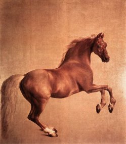 Whistlejacket, by George Stubbs