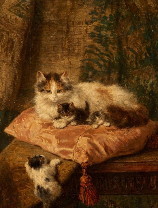 Simerenya, Henriette Ronner Knip