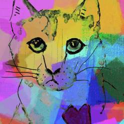 cat-face-susan-stone