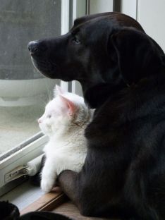 473b277dad9eff36e81fba404ff73d61