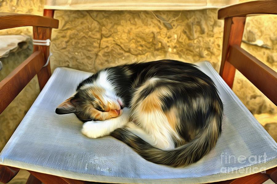 cat-sleeping-on-a-chair-ii-george-atsametakis